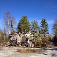 Северные сосны растут на мраморных камнях. Красота севера. © maestrovideo