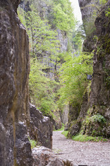 Voie Sarde, route romaine à la grotte de Saint Christophe en Savoie