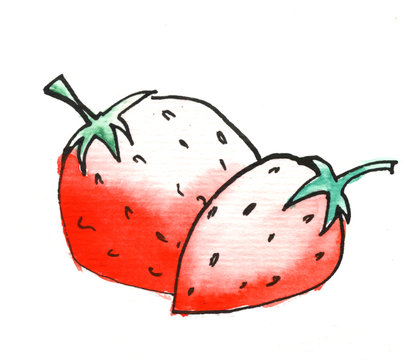 Erdbeeren Marmelade, Etiket
