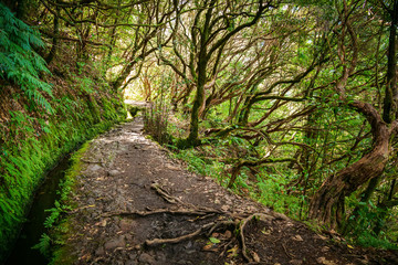 fantastic trekking footpath