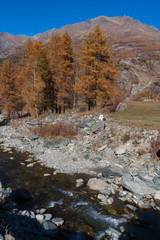 Nun reading by river in Cogne Gran Paradiso Park Valle d'Aosta Italy