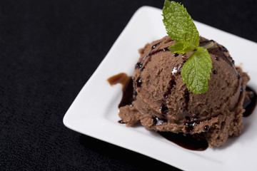 a plate of chocolate ice cream with chocolate syrup and mint leaf
