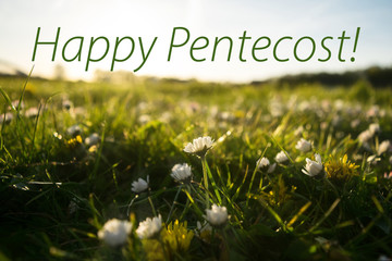greeting card - happy pentecost