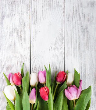 bouquet of fresh spring tulips