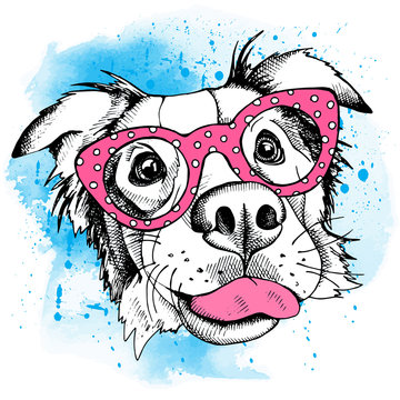 Image Portrait of a dog Australian shepherd wearing the glasses. Vector illustration.