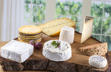 collection of cheeses in various shapes and sizes