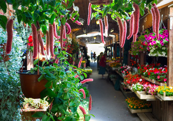 March&eacute; aux fleurs couvert &agrave; Irkoutsk en Sib&eacute;rie Russe