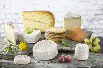 collection of cheeses in various shapes and sizes