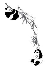 Obraz premium Pandas on branch