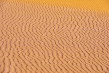 desert