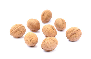 Walnuts in shell isolated on white background