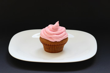 Sweet chocolate cupcake. Close up of chocolate cupcake. Muffins. Fresh delicious homemade cupcakes. Chocolate cupcakes with chocolate frosting on top with sugar sprinkles. Shallow depth of field.