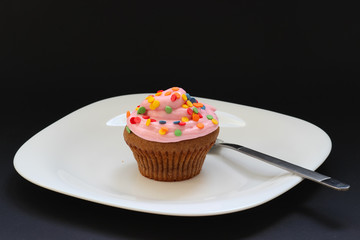 Sweet chocolate cupcake. Close up of chocolate cupcake. Muffins. Fresh delicious homemade cupcakes. Chocolate cupcakes with chocolate frosting on top with sugar sprinkles. Shallow depth of field.
