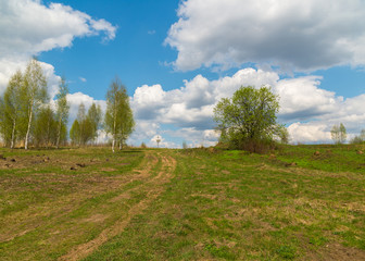Natural landscape in early spring