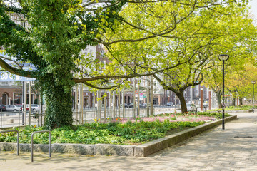 Grünfläche in der Stadt