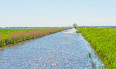 Canal through a sunny landscape in spring
