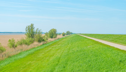 Dike along a lake in spring