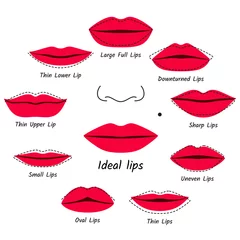 Fotobehang Corrective makeup for lips. Vector illustration. © klerik78