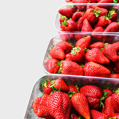 Strawberries in Plastic Box