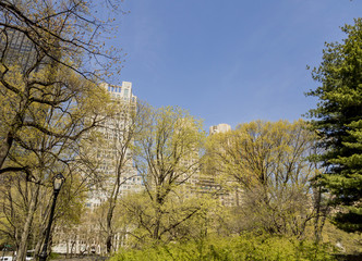 Obraz premium Central Park in New York City