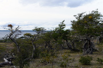 Fototapeta premium The Lago Blanco on the island of Tierra del Fuego.