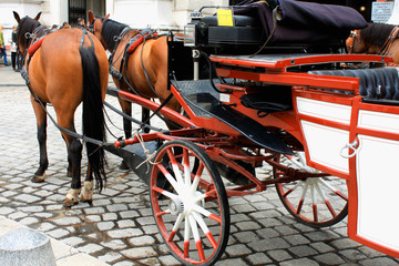 Horse-driven carriage at Hofburg palace, Vienna, Austria