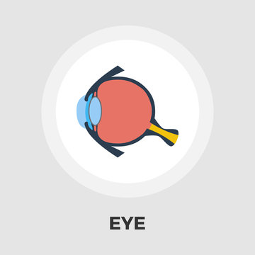 Anatomy eye flat icon