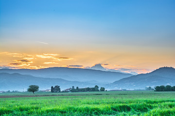 Campi di grano al tramonto
