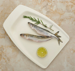 Fresh European smelt fishes