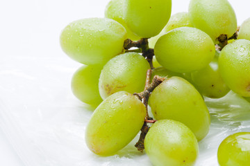 Wet Grapes on a Plastic Bag