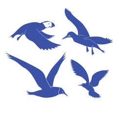 The contour of the sea birds. Blue sea birds in flight. Sea birds fly. Set of vector sea birds.