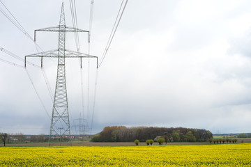 electricity pylon / electricity pylon and yellow rape field