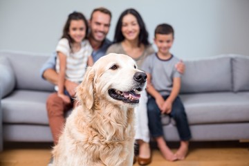 Pet in living room and family sitting on sofa