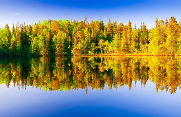 Solovki.  landscape lake sunset!