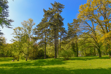 Naklejka premium Parklandschaft im Frühling - Land Brandenburg