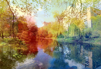 Photo of an old pond