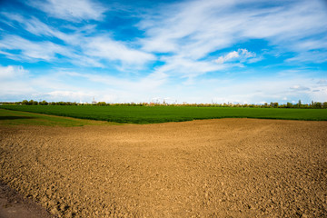 agricultural field in spring time and blue sky