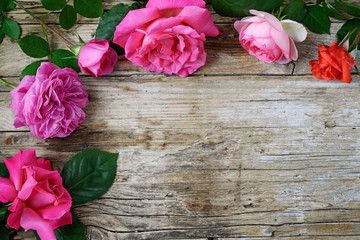 cornice di rose su vecchio legno