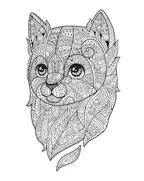 Zen art cat. Hand-drawn fluffy cat portrait in zentangle style for adult coloring page. Zen doodle. Vector illustration on a white background.