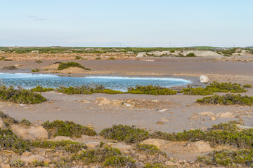 Paisaje de la Salada de Bujaralóz en Aragón