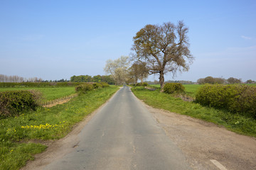 Fototapeta na wymiar country lane in springtime