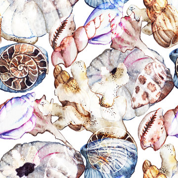 Watercolor sea ocean seashell clam coral ammonit urchin seamless pattern