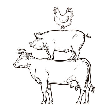 Hand-drawn Cow, Pig, Chicken. Vector Illustration