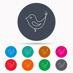 Bird with beak icon. Social media concept sign.