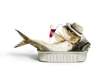 Keuken foto achterwand Vis Sardine drinken in het blikje