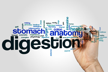 Digestion word cloud