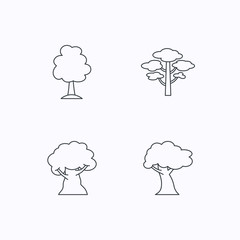 Pine tree, oak-tree icons.
