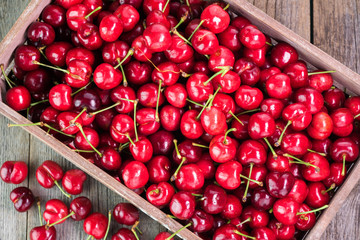 Red cherries in farmers crate.