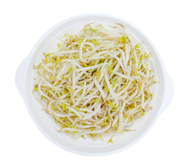 Bean sprouts with dish isolated on white background,clipping path