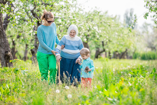 Senior woman supported by granddaughter and great grandson walking in blossoming orchard